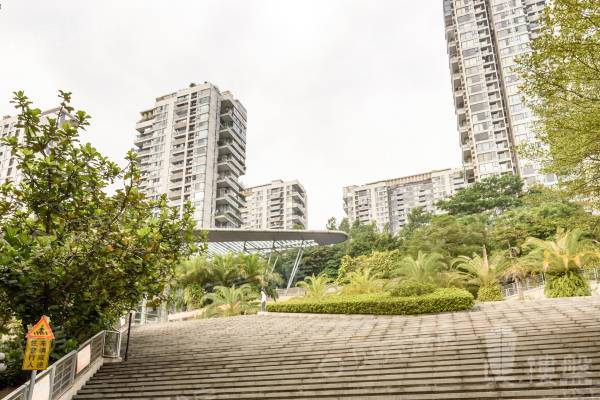 金地香密山|絕對筍盤，香蜜湖豪宅，地鐵就在家門口